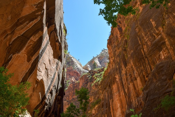 Utah Colos 2 Print