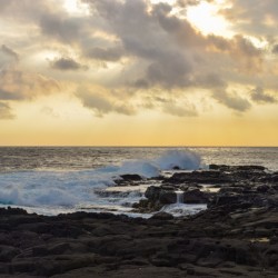 HAWAII 120