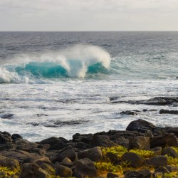 HAWAII 121