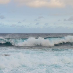 HAWAII 124