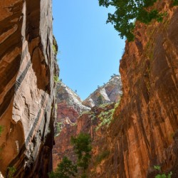 Utah Colos 2