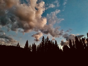 Lassen Volcanic National Park  IMG 5186