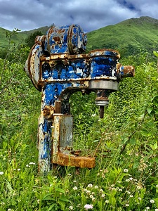 Hatchers Pass Alaska Mixer IMG 2457