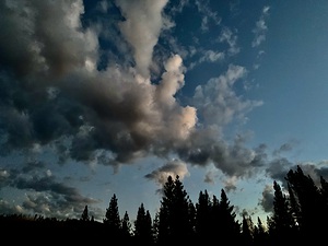 Lassen Volcanic National Park IMG 5182