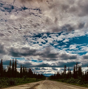 Denali Highway IMG 1498