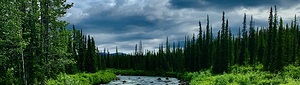 Talkeetna IMG 1486