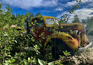 Ford Pickup