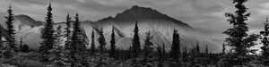Alaska Sunset B&W IMG 1633