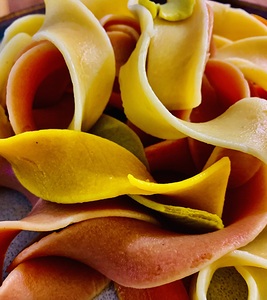 Noodle Tri Color