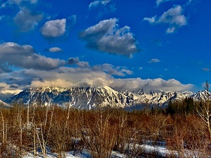 Dezadeash River valley IMG 9369
