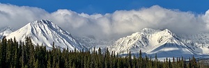 Haines Junction IMG 9384