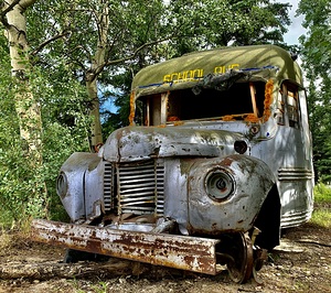 Bus 