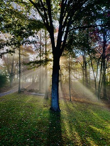 Morring Sun