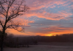 Sun Rise IMG 0023