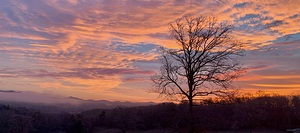 Morning sky IMG 0029