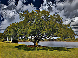 Designer Tree 
