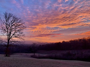 Morning sky  IMG 0035