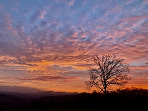 Blue Ridge Moring Sun IMG 0036
