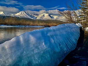Dezadeash River IMG 9360
