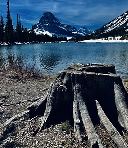 Glacier NP Pray Lake IMG 8884