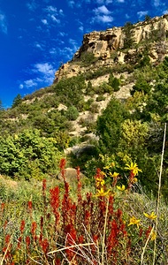 Red Flowers Mountain Base