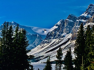 Bow Lake Canada IMG 8998