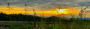 Alaskan Sunset IMG 1679