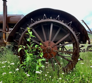 Tractor Wheel