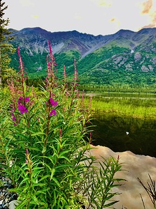 Mountain Lake Alaska IMG 1665