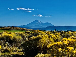 Mount Shasta CA
