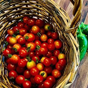Cherry Tomatoes 
