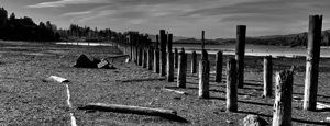 FLATHEAD LAKE MONTANA IMG 8798