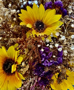 Dry Flowers 1
