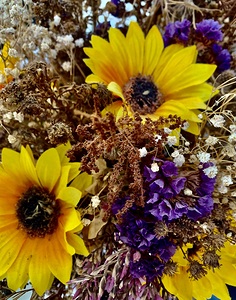 Dry Flower 11