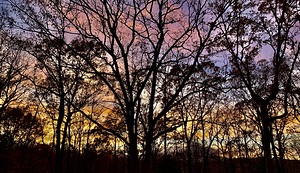 Colored Skies