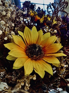 Dry Flower 9
