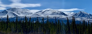 Haines Junction IMG 9296