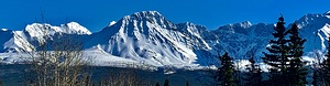 Haines Junction IMG 9319