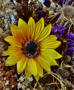 Dry Flower 10