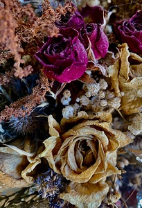 Dry Flower 5