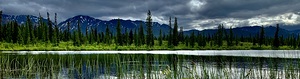 Cantwell Denali Hwy IMG 1454