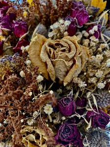 Dry Flower 6