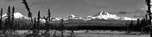 Denali NP Petersville Rd IMG 1076