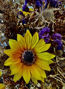 Dry Flower 8