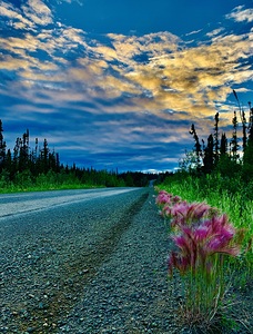 Dalton Hwy Fairbanks IMG 1310