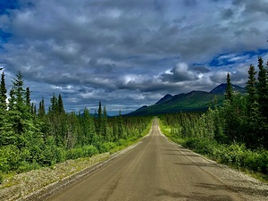 Denali Highway IMG 1457