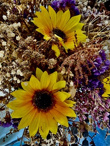 Dry Flower 7