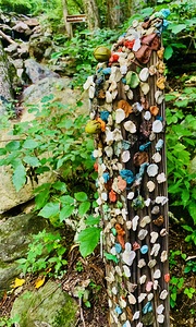 Amicalola Falls State Park IMG 7378