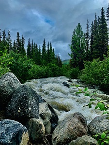 Carlo Creek IMG 0662