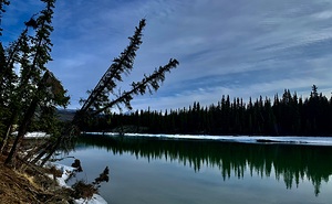 Takhini River IMG 9216